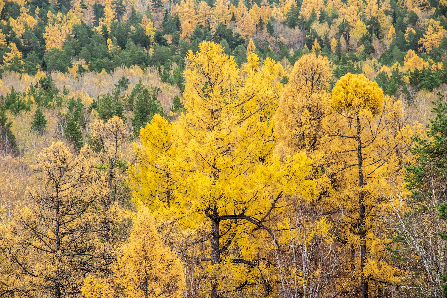Лучшие места для осенней прогулки