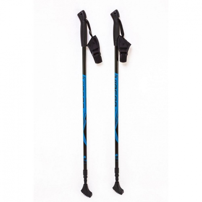 Палки для скандинавской ходьбы Vinson Plus