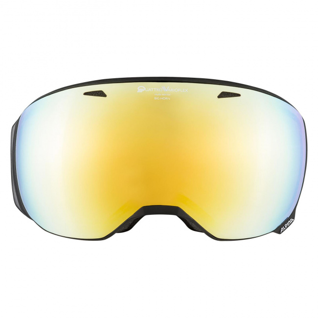 Маска Alpina Big Horn QV