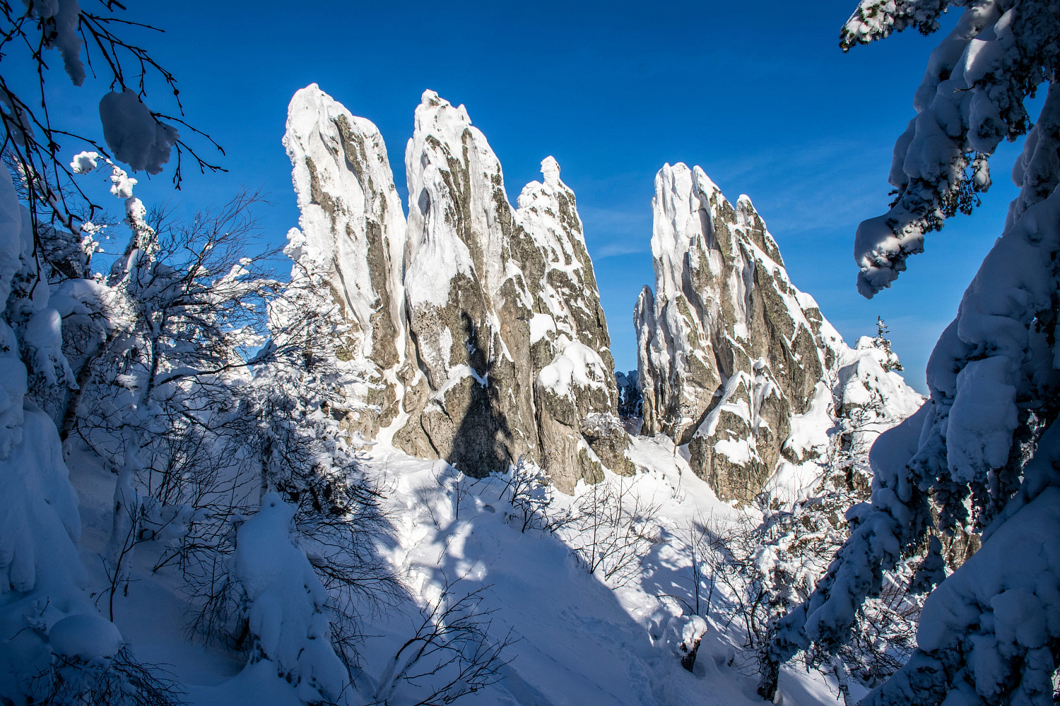 Про прогулку на Двуглавую сопку от Сергея Маркова
