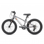 Велосипед Maxiscoo 25 5Bike 20" M200