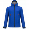 Куртка Salewa Ortles GTX 3L