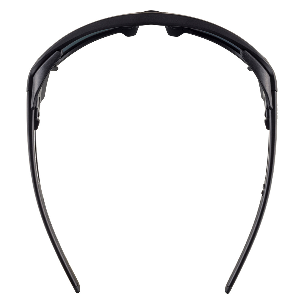 Очки Alpina Skywalsh  (red mirror cat.4 fogstop, black matt (9172876))