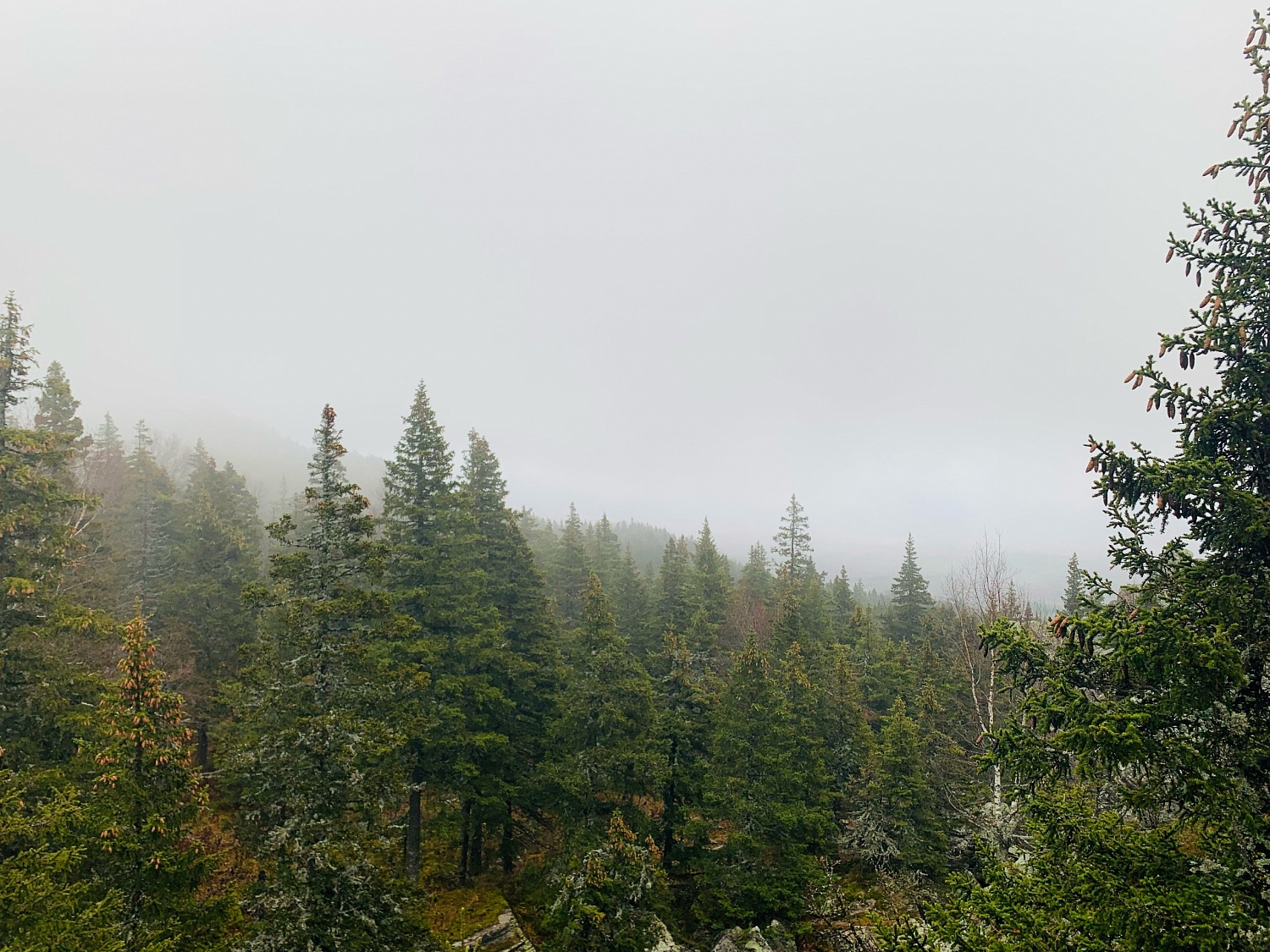 Снег, дождь, Таганай!