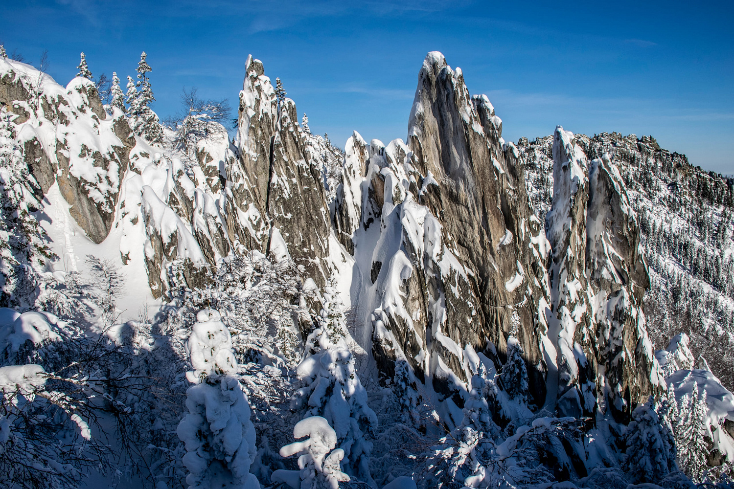 Про прогулку на Двуглавую сопку от Сергея Маркова