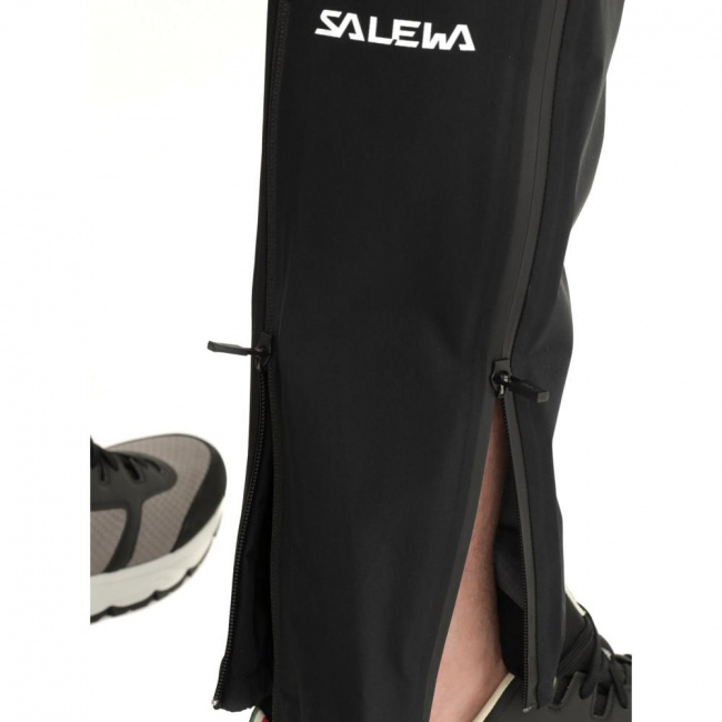 Брюки Salewa Ortles GTX Pro