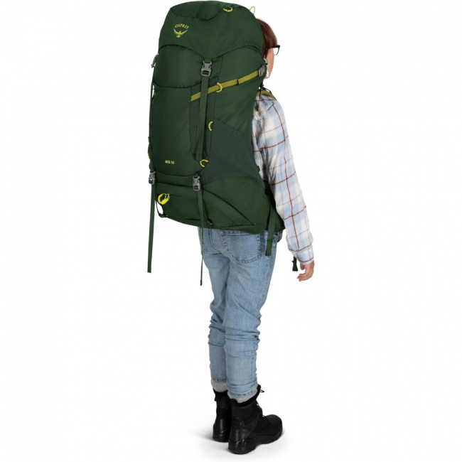 Рюкзак Osprey Ace 50 (green canopy (9181647))