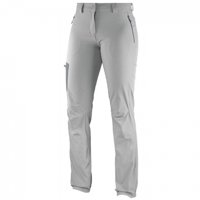 Брюки Salomon Wayfarer W (42, S, Vapor (9113261))