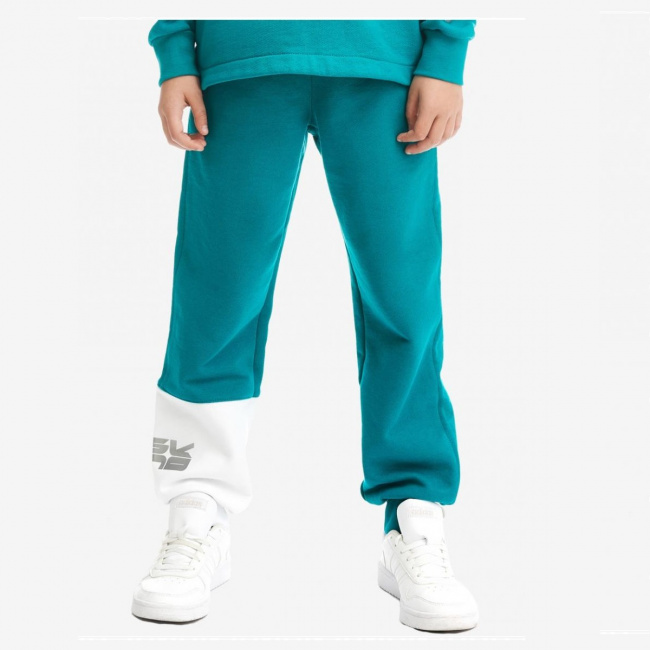 Брюки BASK Lina