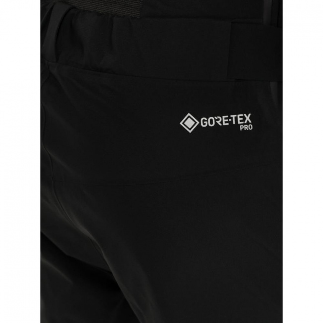 Брюки Salewa Ortles GTX Pro