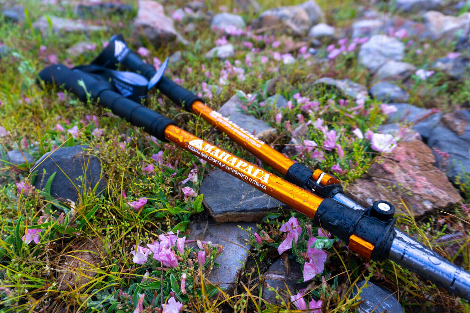 Друзья, сегодня нам исполняется 32 года!