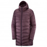 Куртка Salomon Sight Storm Hoodie W