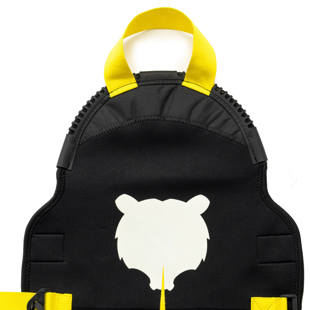 Чехол для сноуборда Terror Container light