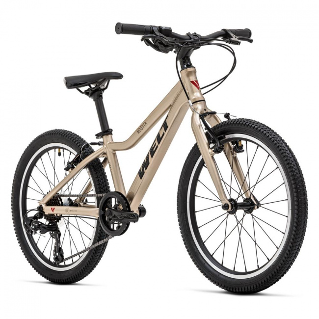 Велосипед Welt 25 Moovix 2.0 20 V