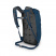 Рюкзак Osprey Daylite Cinch