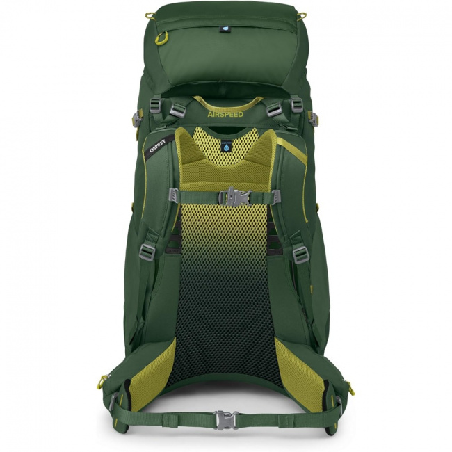 Рюкзак Osprey Ace 50 (green canopy (9181647))