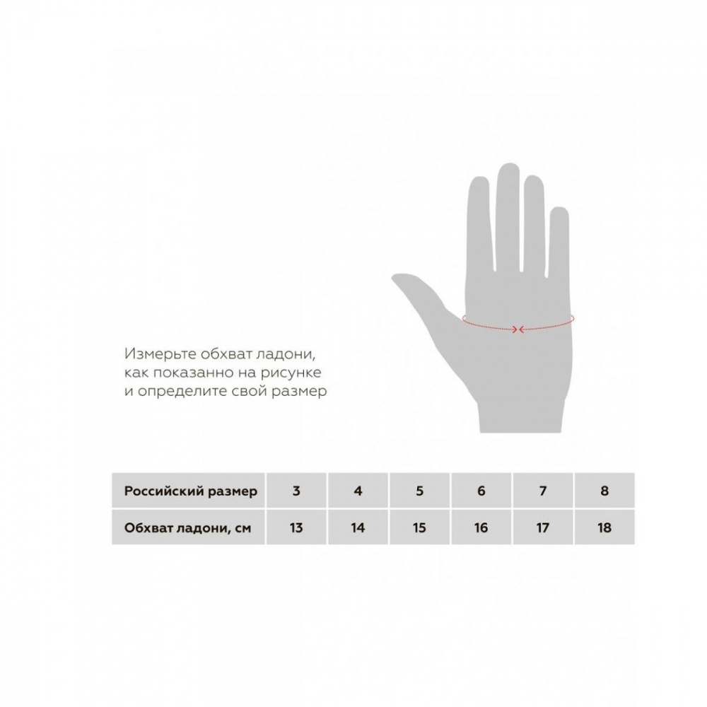 Рукавицы BASK Spirit