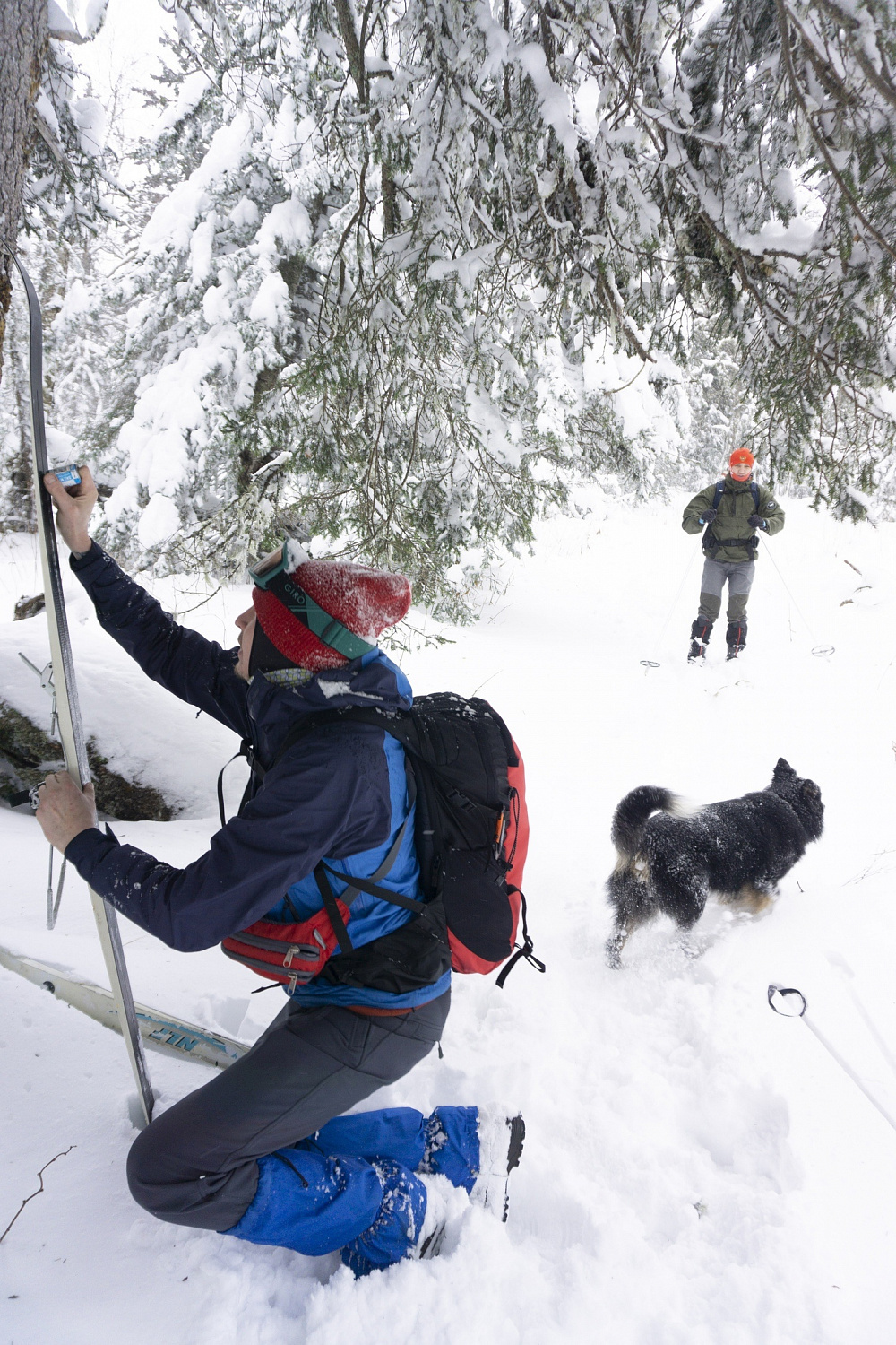 ТРОЕ НА ИРЕМЕЛЕ, НЕ СЧИТАЯ СОБАКИ