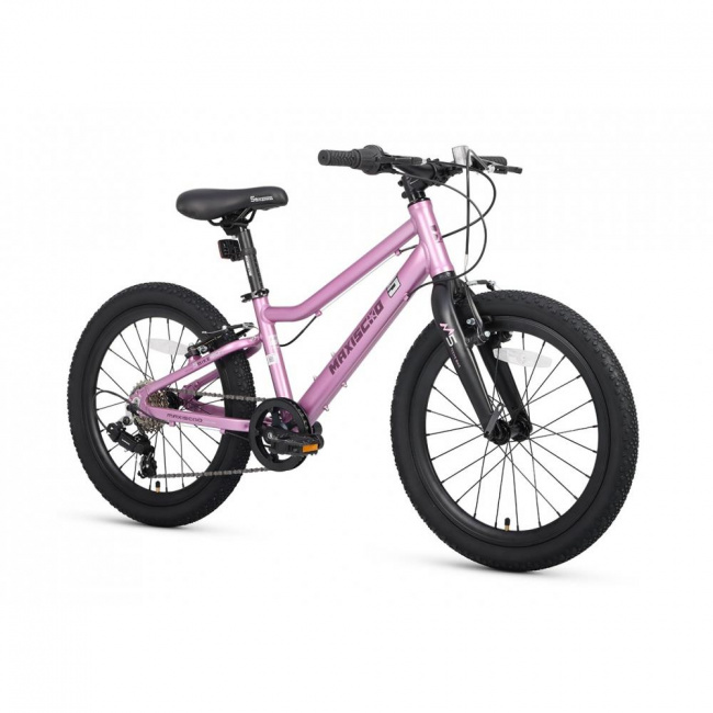 Велосипед Maxiscoo 25 5Bike 20" L200