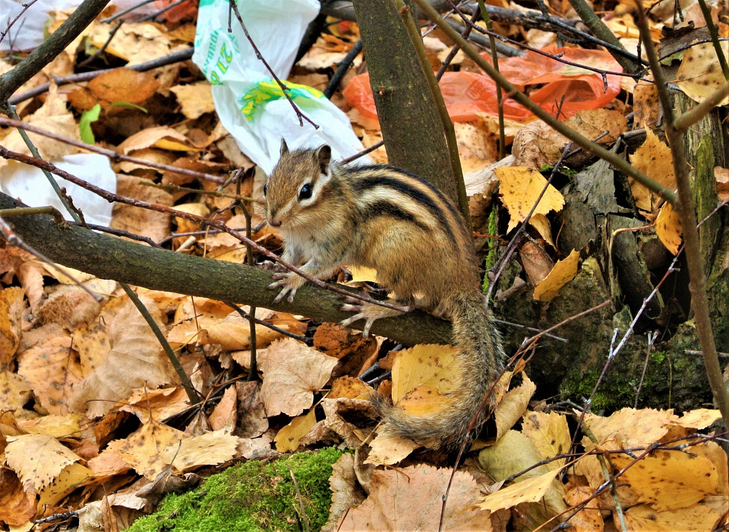Лучшие места для осенней прогулки
