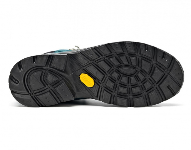 Ботинки Asolo Greenwood GV ML Evo 