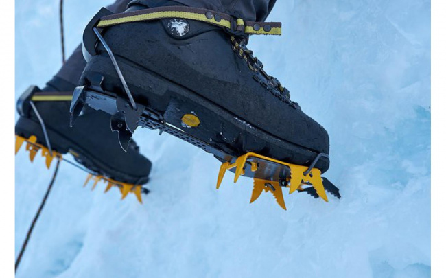 Кошки White Wall Ice Wall