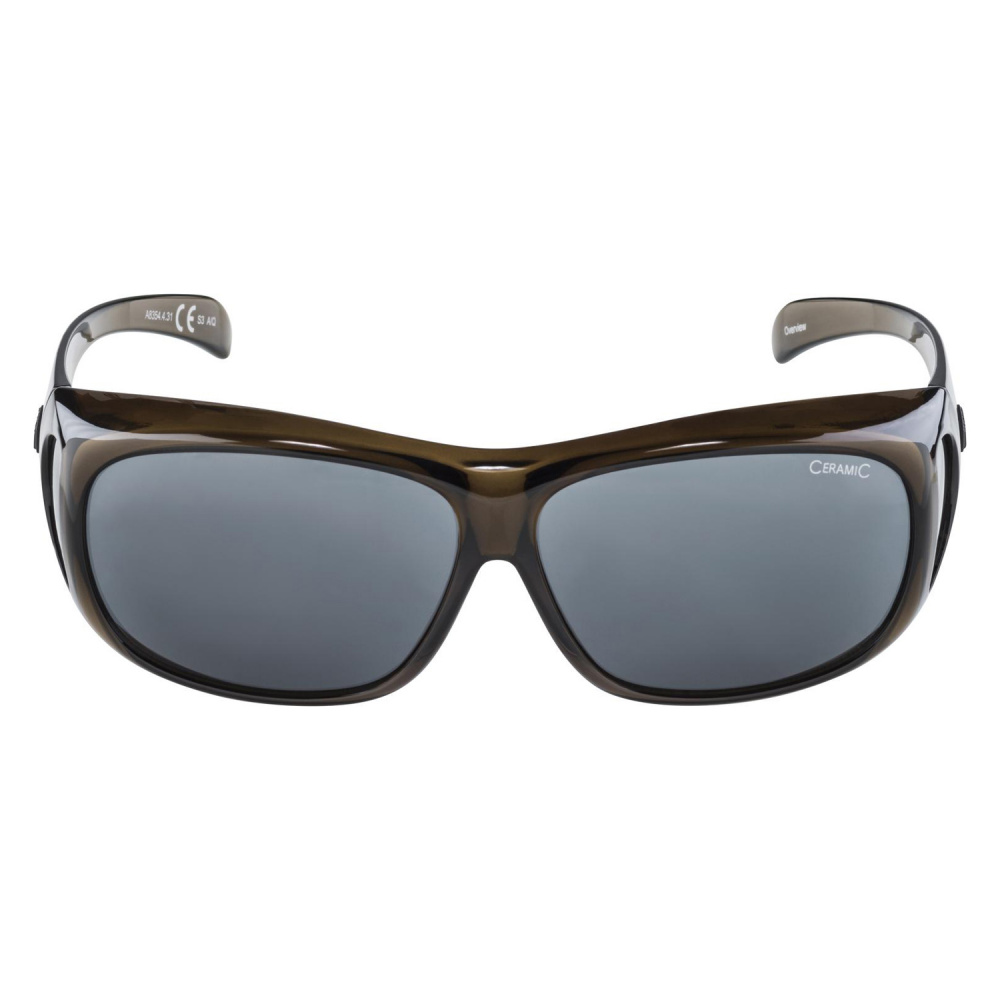 Очки Alpina Overview 