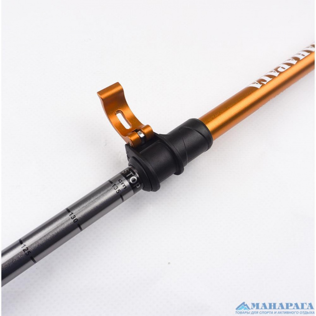 Палки треккинговые Манарага Chamonix