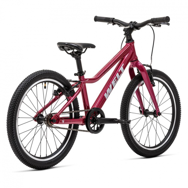 Велосипед Welt 25 Moovix 1.0 20 V