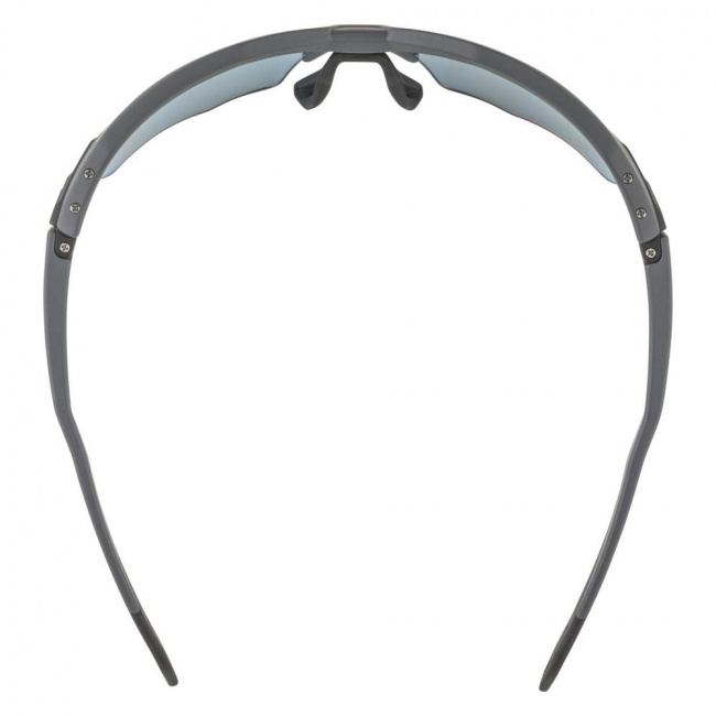 Очки Alpina Twist Six HR QV