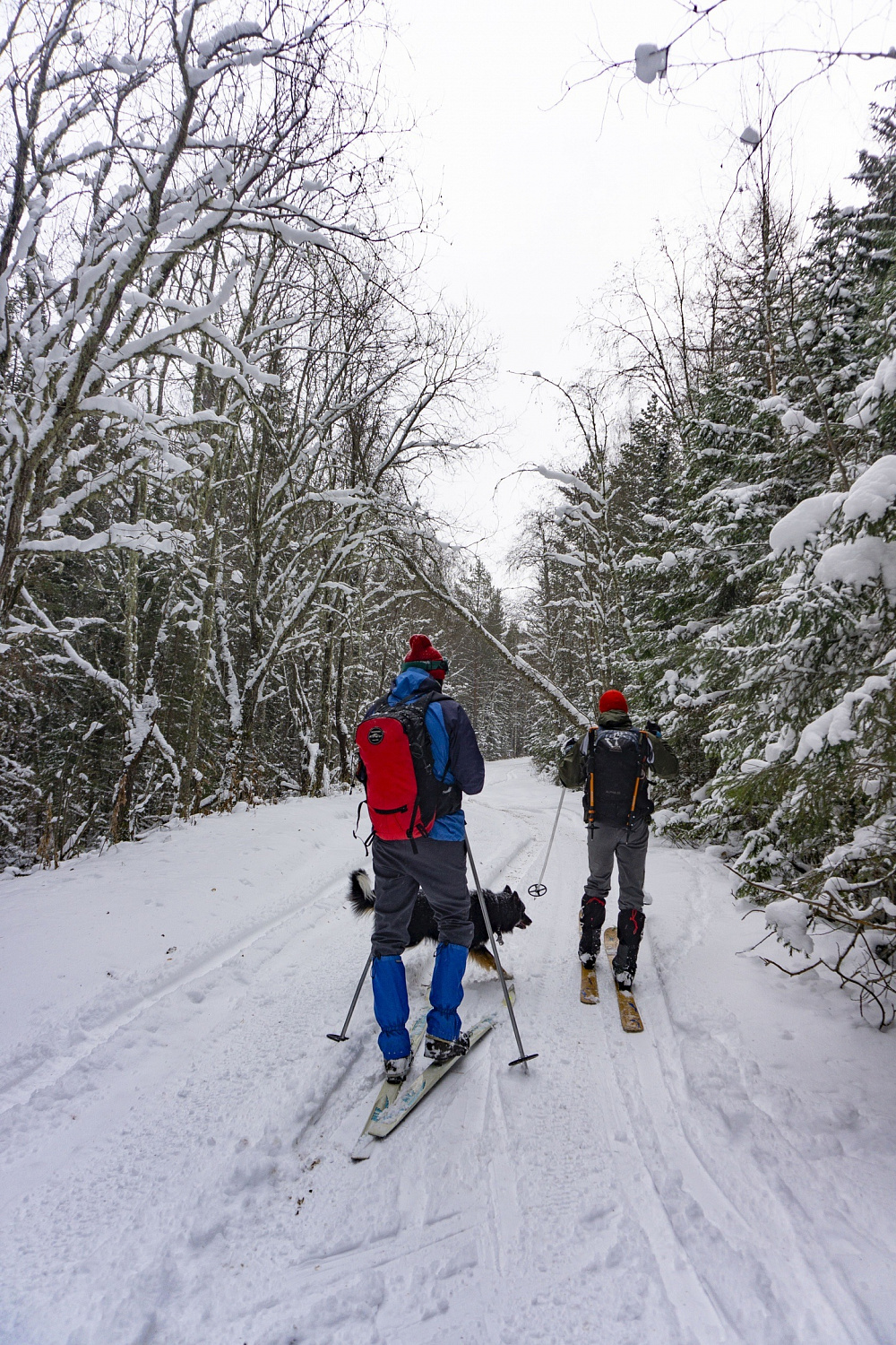 ТРОЕ НА ИРЕМЕЛЕ, НЕ СЧИТАЯ СОБАКИ